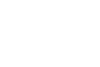 텍스트