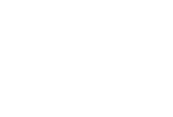텍스트